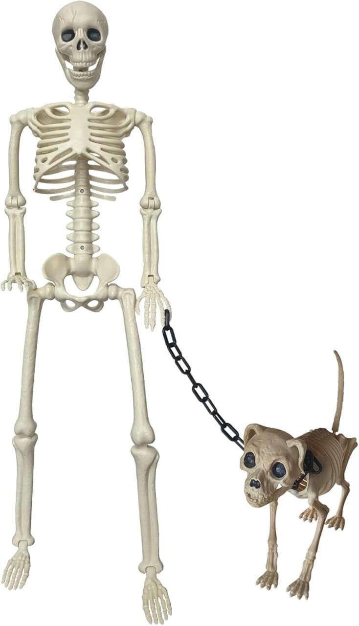 Halloween 36 Inches High Full Body Posable Standing Skeleton Decorations Outdoor with 18.8 Inches Long Skeleton Dog for Party Haunted House Supplies